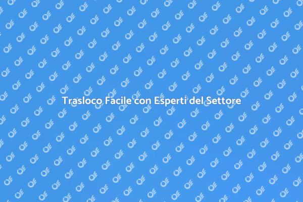 Scegli il Miglior Servizio di Trasporto