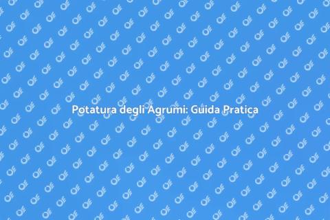 Potatura Agrumi: Forma e Salute
