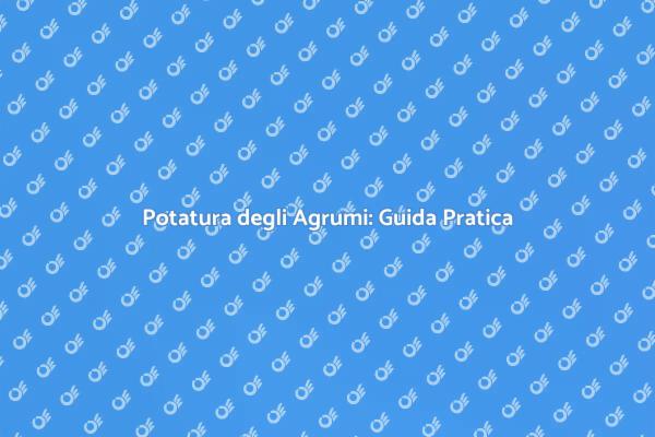 Potatura: Salute e Forma per Agrumi