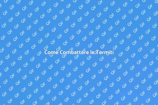 Termiti: Come Difendersi Efficacemente