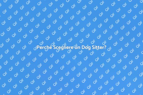 Dog Sitter: Perché è Importante?