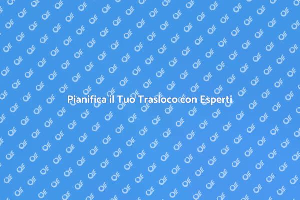 Traslocare con un Professionista