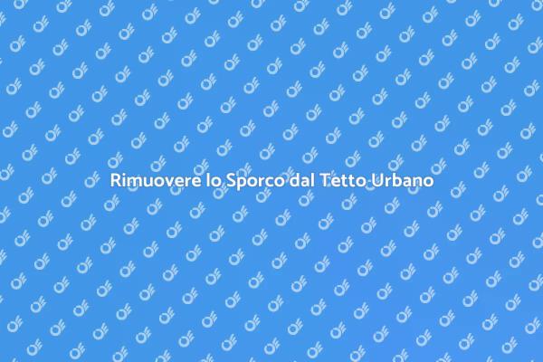 Manutenzione del Tetto in Città