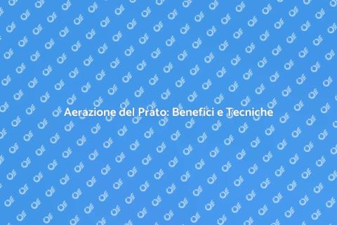 Aerare il Prato per un Giardino Sano