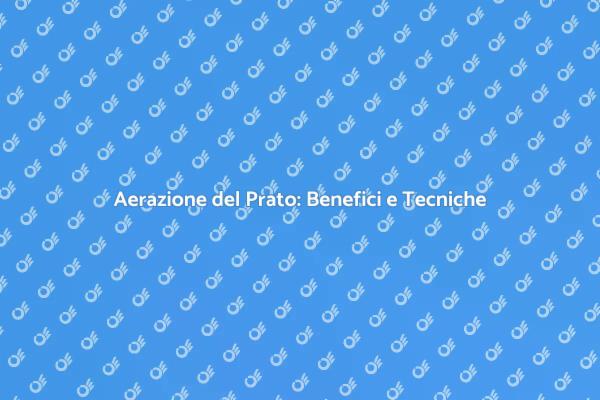 Importanza dell'Aerazione del Prato