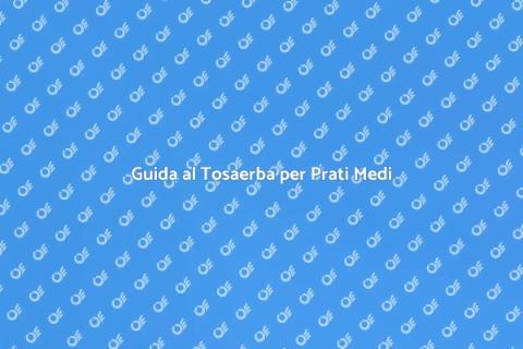 Tosaerba a Spinta per Prati Piccoli