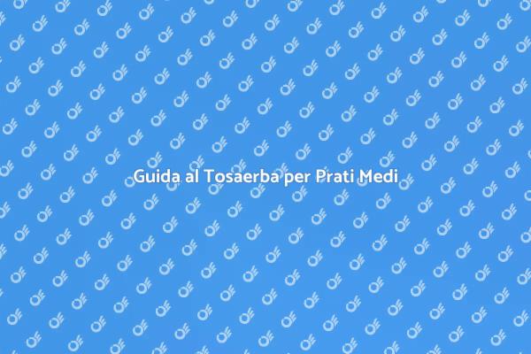 Tosaerba Ideale per Prati Medio-Piccoli