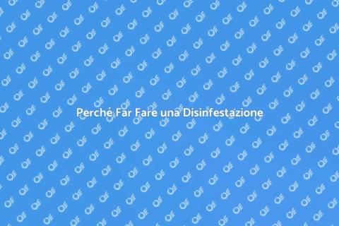 Disinfestazione: Proteggi la Tua Casa
