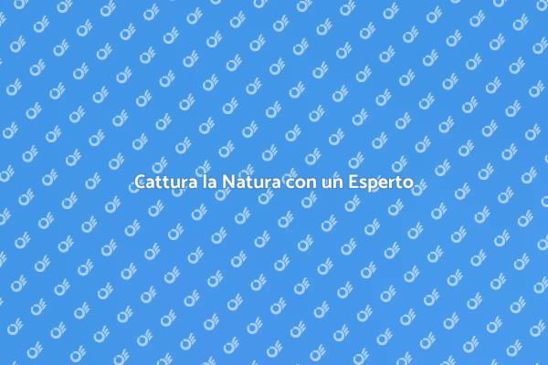 Immortala la Natura con un Professionista