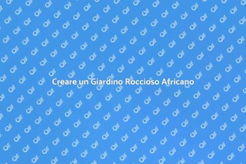 Giardino Roccioso con Piante Africane