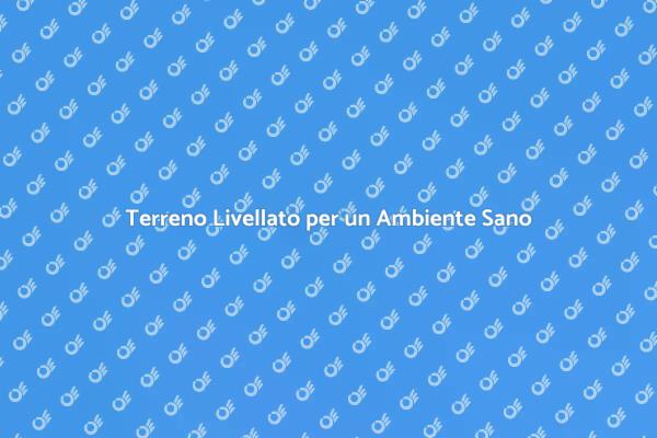 Importanza del Livellamento del Terreno