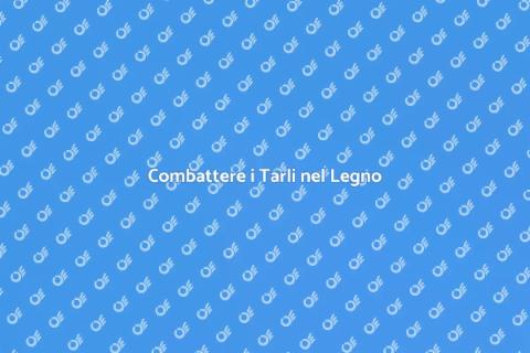 Disinfestazione Tarli Legno Efficace