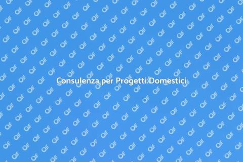 Servizio di Consulenza Professionale