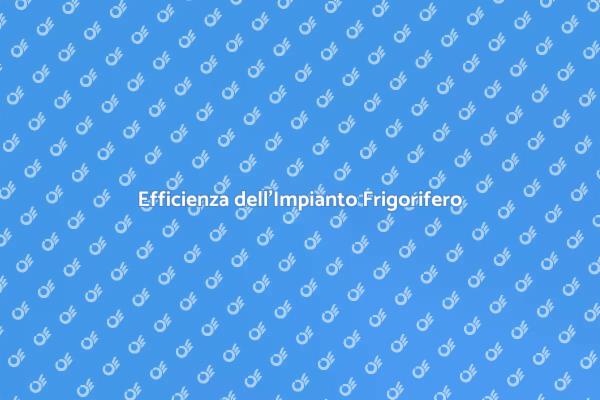 Risparmia con l'Ottimizzazione Frigorifero