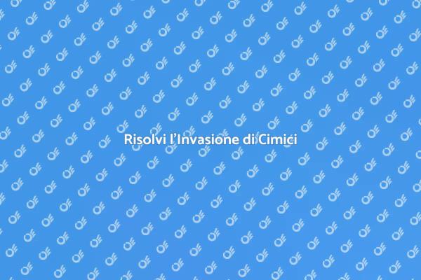 Sterminatore di Cimici: La Soluzione