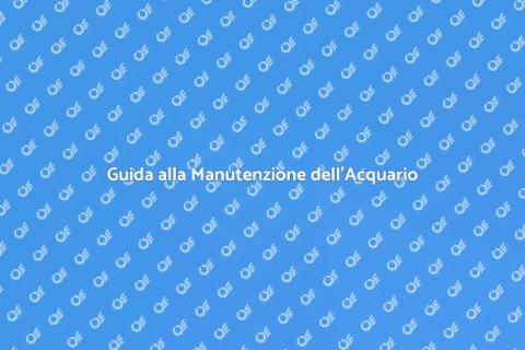 Manutenzione dell'Acquario: Guida Pratica
