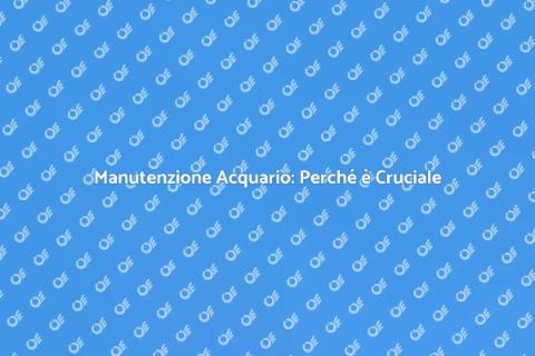 Manutenzione Urgente Acquario Essenziale