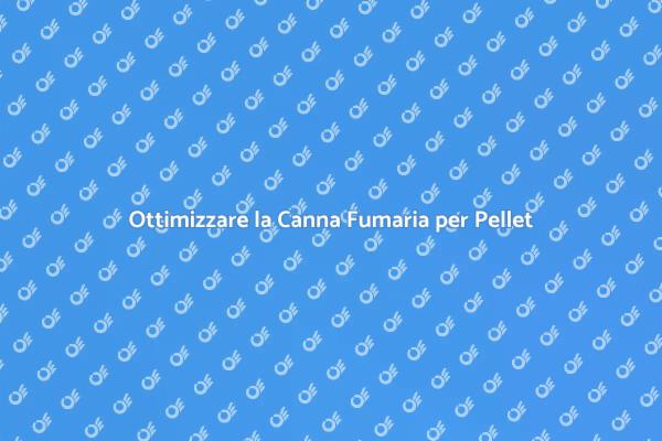 Canna Fumaria: Chiave per il Termocamino