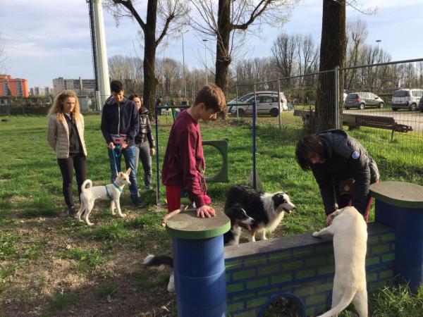 Lauretta Vicari Smiling Dogs - Foto 7