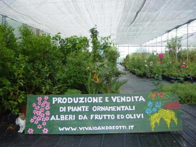 Vivaio Andreotti  - Foto 9
