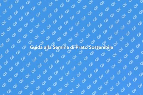 Semina Prato Sostenibile: Guida Pratica
