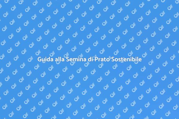 Prato Sostenibile: Tecniche di Semina