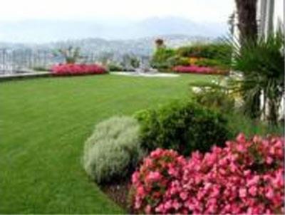 Vivaio Garden Gardenia Srl  - Foto 2