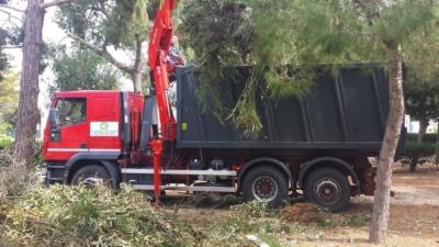 Farina Servizi Ambientali  - Foto 6
