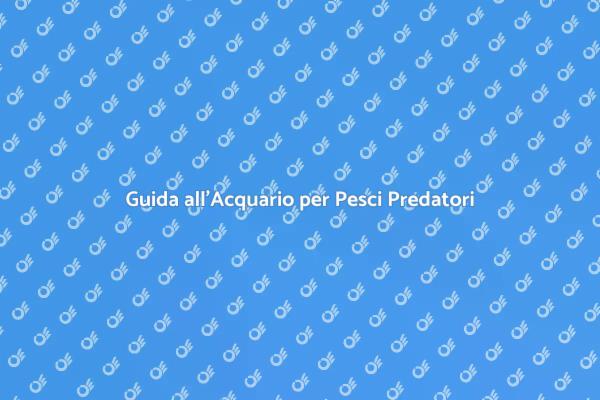 Costruisci l'Acquario dei Tuoi Sogni