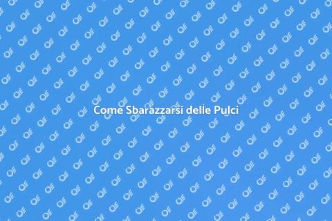 Liberati delle Pulci in Casa