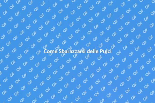 Sconfiggi le Pulci Oggi Stesso!