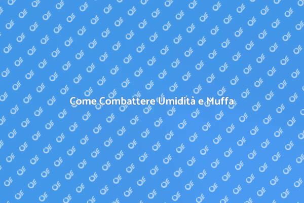 Combatti l'Umidità con Soluzioni Efficaci