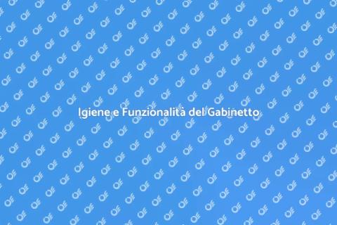 Manutenzione Gabinetto: Essenziale per Casa