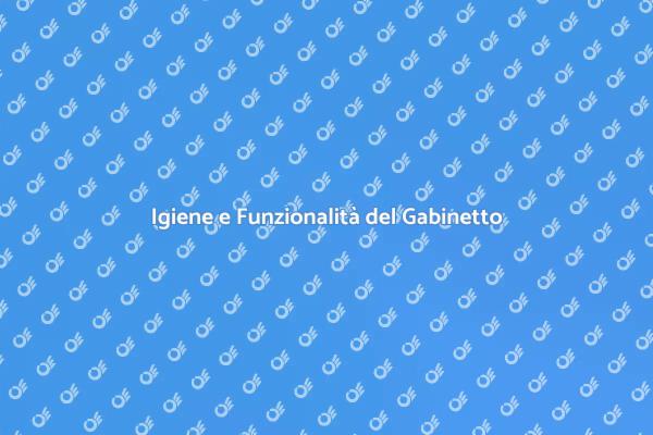 Manutenzione Gabinetto: Un Necessario Passo