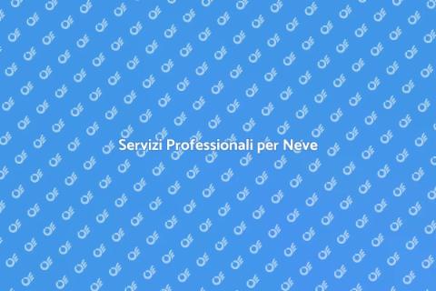 Rimozione Neve: Assistenza Professionale