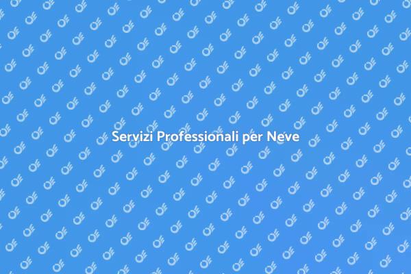 Rimozione Neve: Sicurezza e Comfort