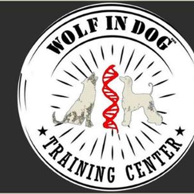 Wolf In Dog di Barbara de Risi