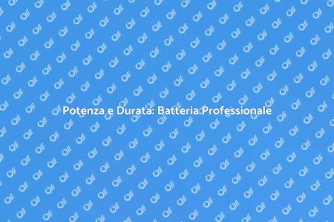 Batteria Professionale: Potenza e Affidabilità
