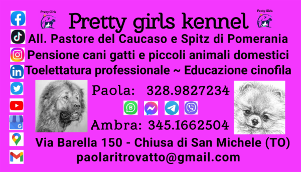 Pretty girls kennel - Azienda agricola di Ritrovatto Paola - Foto 5