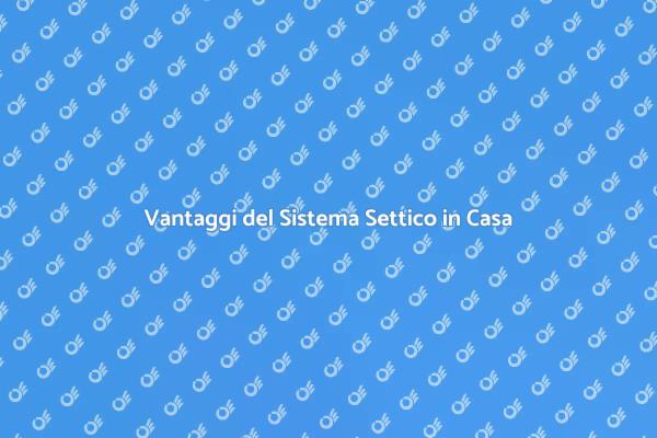 Importanza del Sistema Settico Domestico