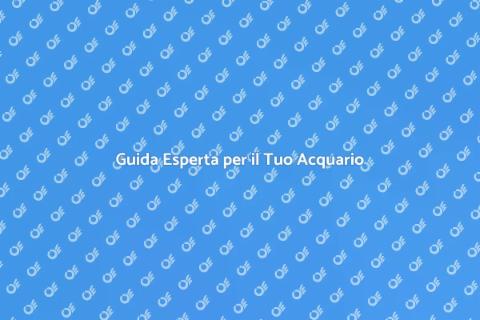 Consulenza Completa per il Tuo Acquario