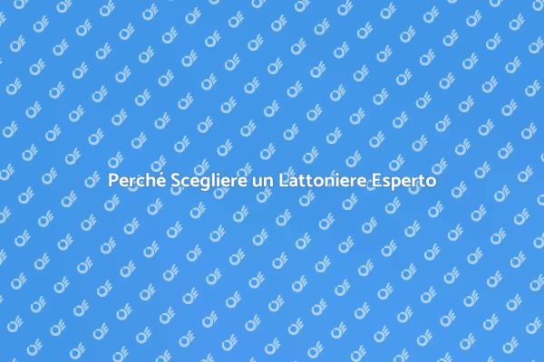Lattoniere: Un Professionista Indispensabile