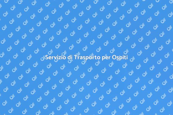 Trasporto Ospiti: Comfort e Sicurezza