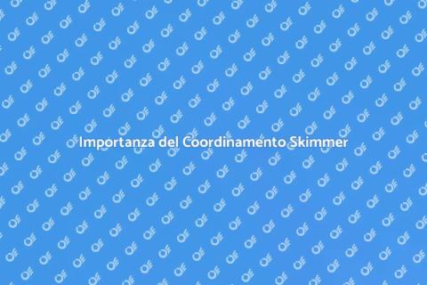 Coordinamento dello Skimmer Essenziale