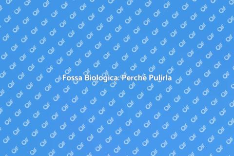 Pulizia Fossa Biologica: Importanza