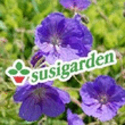 Susigarden  - Foto 1