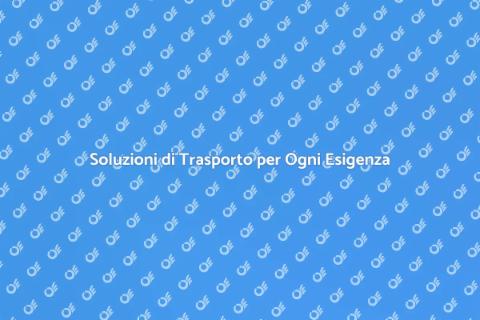 Trasporto Conveniente e di Qualità