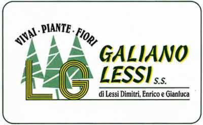 Vivai Galiano Lessi  - Foto 2