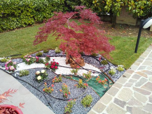 AMBROSI DAVIDE - Foto 7