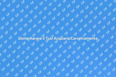 Aerazione Adeguata per Acquario Sano